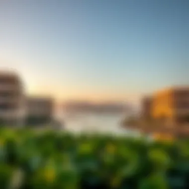 Magnificent Exploring Al Zeina and Al Raha Beach: A Comprehensive Overview