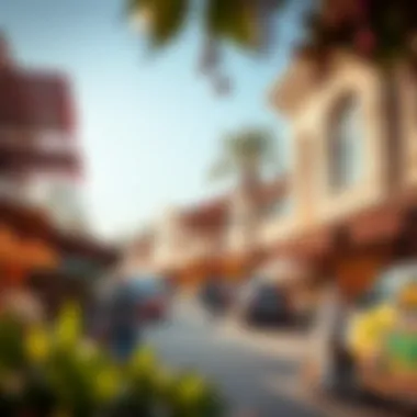 A vibrant marketplace highlighting local culture and lifestyle in Al Mamourah