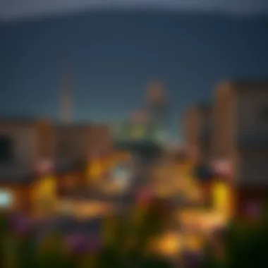 Overview of Mussafah Shabia 9 neighborhood