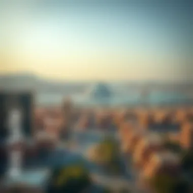 A panoramic view of Abu Hail showcasing its vibrant urban landscape.