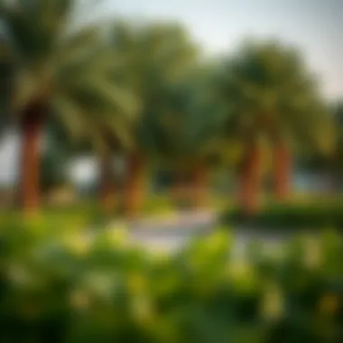 Lush Greenery of Al Reem Park Scenic view of Al Reem Park showcasing lush greenery