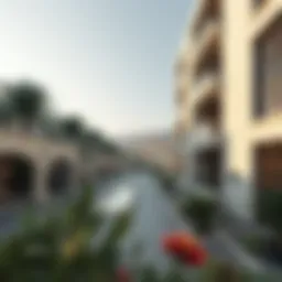 Exploring Baraka Real Estate: Insights and Opportunities Introduction