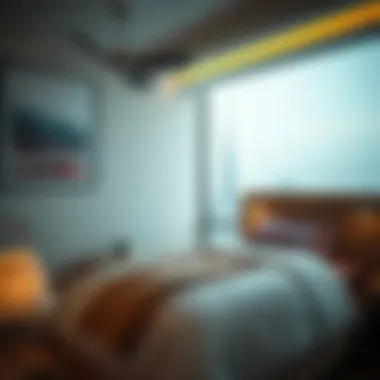 Exploring Bed Space in Dubai Industrial City Summary Exploring Bed Space in Dubai Industrial City Summary