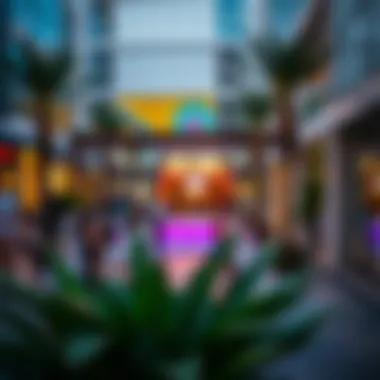 Vibrant outdoor spaces and entertainment options in City Center Mirdif