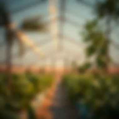 Sustainable Greenhouse in the Desert A sustainable greenhouse showcasing local farming efforts.