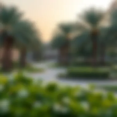 A serene park in Deira, providing a relaxing environment for residents.