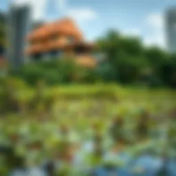 Lush mangrove ecosystem providing a serene backdrop to urban development
