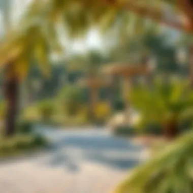 Ecological Features of Masaar Park Ecological features and sustainable initiatives within Masaar Park