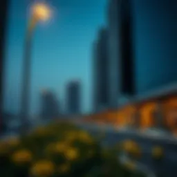 Exploring Nad Al Hamar Avenues: Insights into Dubai's Emerging Neighborhood Introduction