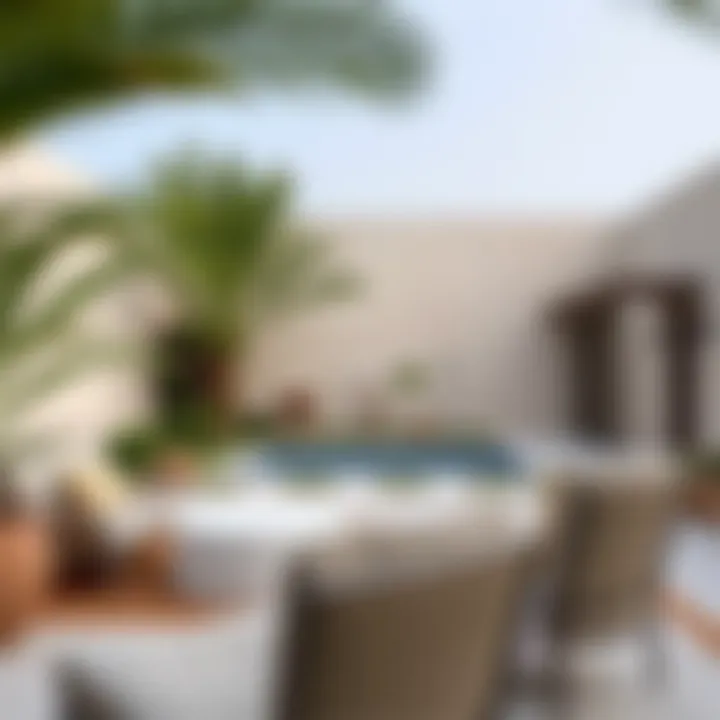Outdoor garden area in a rental villa