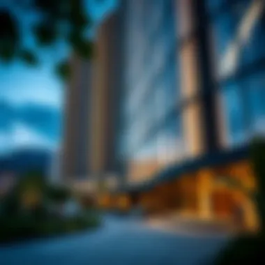 Investment opportunities around Tami 2 Building