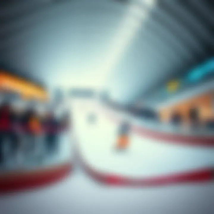 Indoor skiing slope in Dubai's mall