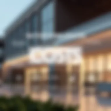 Infographic depicting factors influencing Emirates ID costs