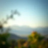 Natural Beauty of Fujairah Scenic view of Fujairah's natural landscape with mountains