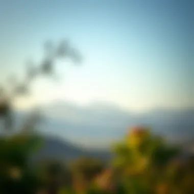 Natural Beauty of Fujairah Scenic view of Fujairah's natural landscape with mountains