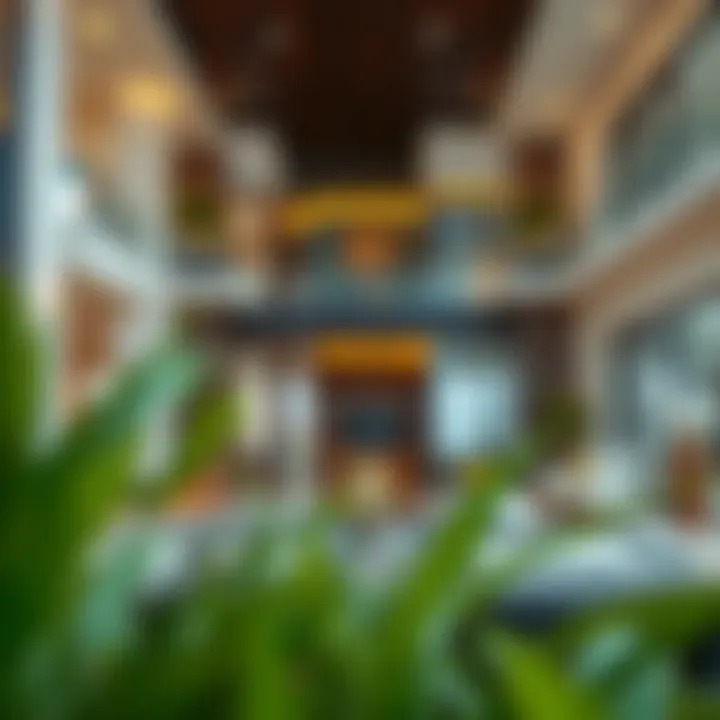 Luxury Property Open House Open house showcasing a luxury property