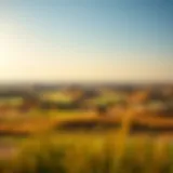 Stunning view of the Jumeirah Golf Estates Fire Course landscape