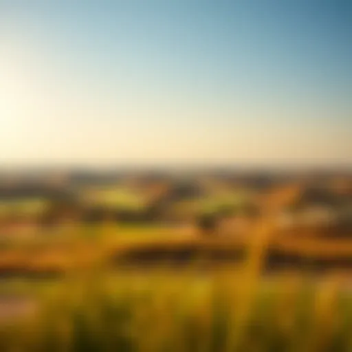 Stunning view of the Jumeirah Golf Estates Fire Course landscape