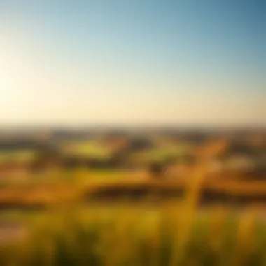 Breathtaking Landscape of the Fire Course Stunning view of the Jumeirah Golf Estates Fire Course landscape