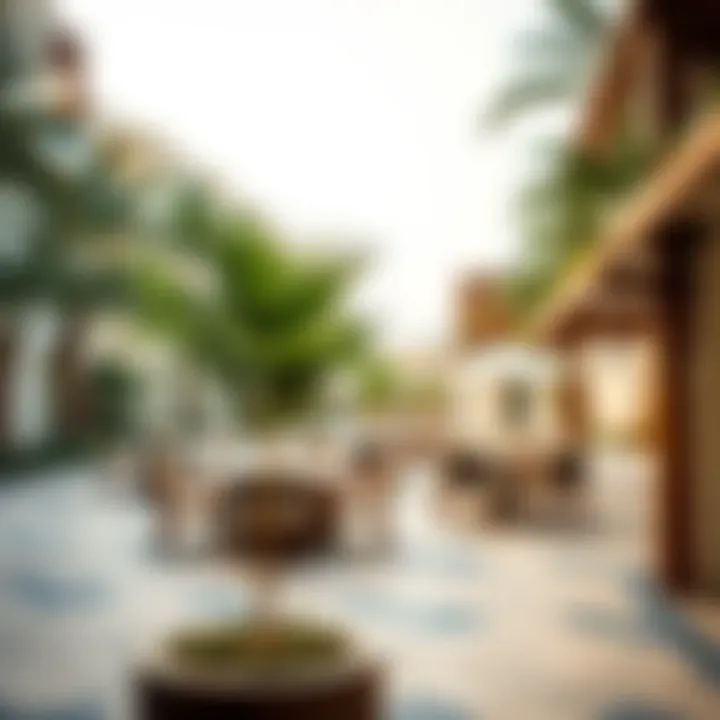 Community Amenities in Dubai South Overview of community amenities in Dubai South