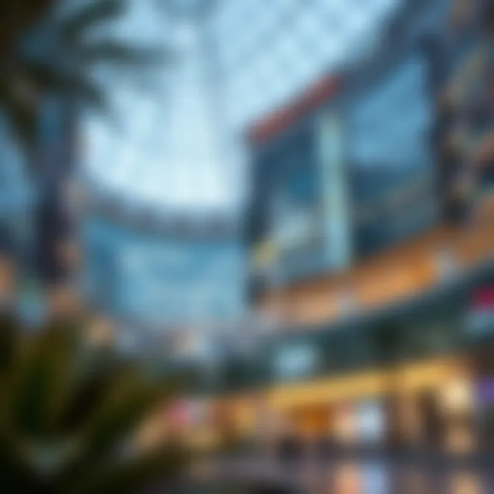 Map highlighting the strategic location of Oasis Mall in Dubai.