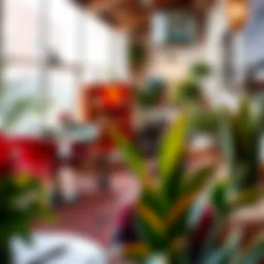 A cozy café setting filled with vibrant colors and unique decor