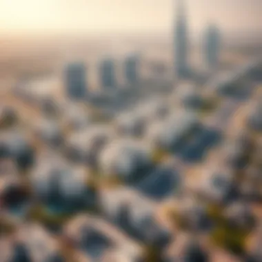 Aerial view of residential areas illustrating the diversity of property options.