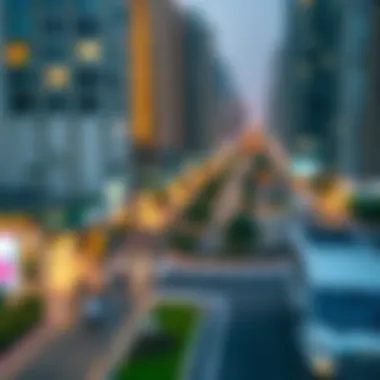 Community Dynamics Overview Visual representation of community dynamics near Burjuman Metro