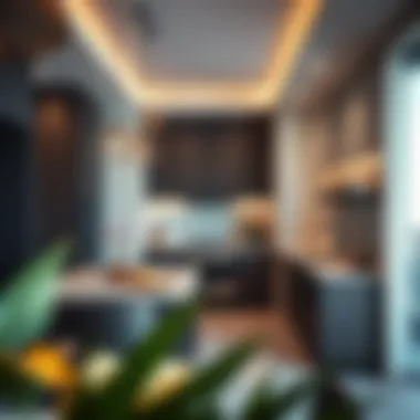 Functional Kitchen Area in the Elan Design Functional kitchen area in the Elan design