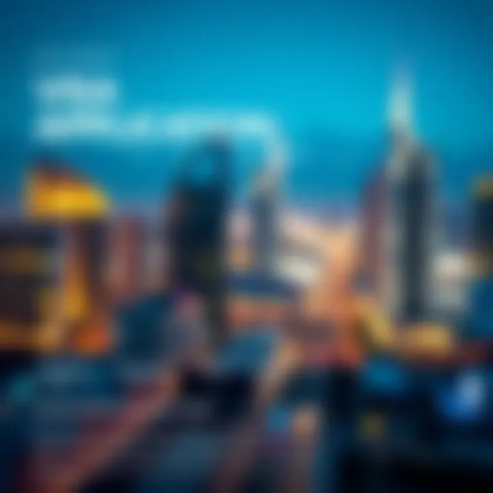 Visa Application Timeline Explained Infographic on the visa application timeline