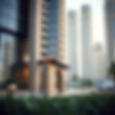 Understanding Legal Obligations in Dubai A guide to legal obligations for expatriates