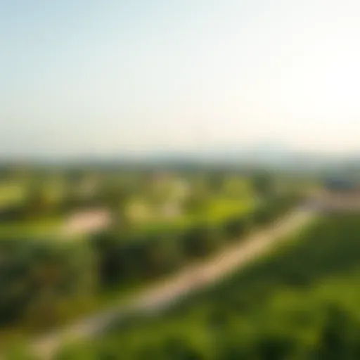 A panoramic view of Zabeel Park showcasing its lush landscapes and recreational areas