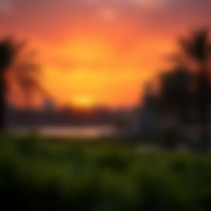 Sunset view over Zabeel Park with vibrant colors reflecting on the greenery